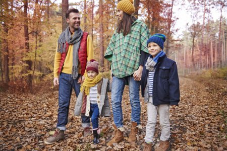 Téléchargez les photos : Famille marchant ensemble dans la forêt. L'automne est la meilleure saison pour marcher - en image libre de droit