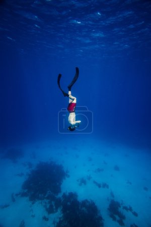 Foto de Imagen submarina de un Freediver con aletas bajando - Imagen libre de derechos