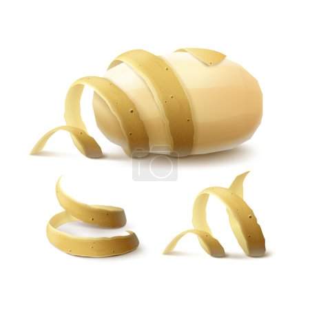 New Yellow Raw Whole Peeled Potato with twisted peel Isolated