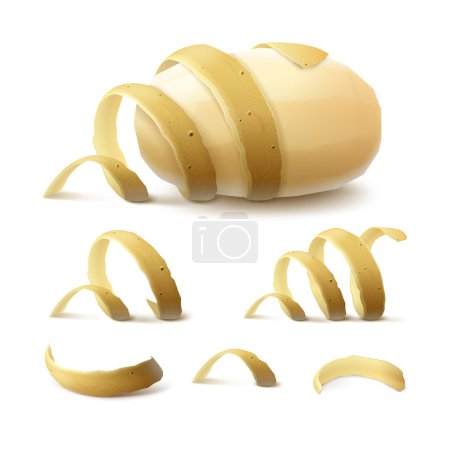 New Yellow Raw Whole Peeled Potato with twisted peel Isolated