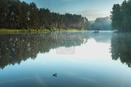 Un fragmento del lago en el parque
.