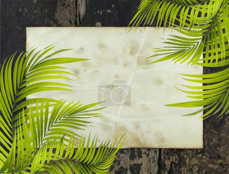 old paper background with palm leaf