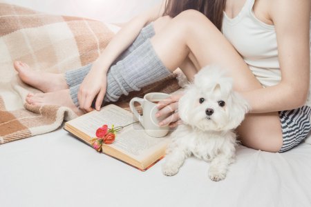 Foto de Dormitorio soleado. Pasar el fin de semana perezoso con el libro y mi perro pequeño favorito. Joven chica delgada leyendo en la cama - Imagen libre de derechos