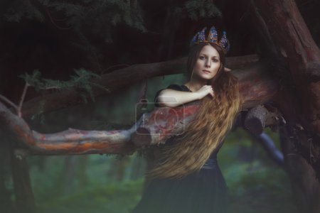 Photo for Queen - Royal Person, Women, Fashion, Fairy Tale, Crown Long Hair - Royalty Free Image
