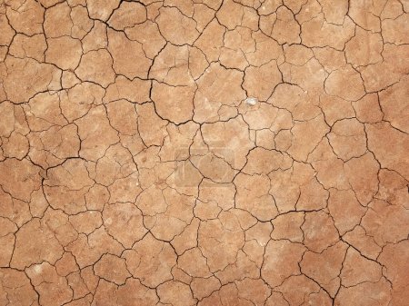 Photo for The ground has cracks in the top view for the background or graphic design with the concept of drought and death. - Royalty Free Image