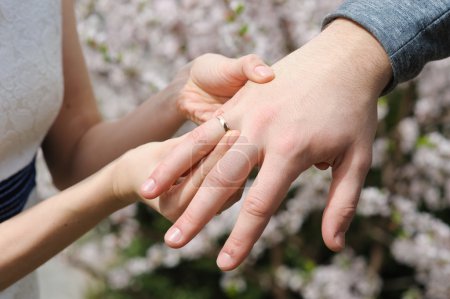 Téléchargez les photos : La mariée donne une bague de fiançailles à son marié. Concept de mariage et lune de miel. le jour du mariage. se concentrer sur la main et la bague. Des buissons en fleurs sur le fond. à l'extérieur
. - en image libre de droit