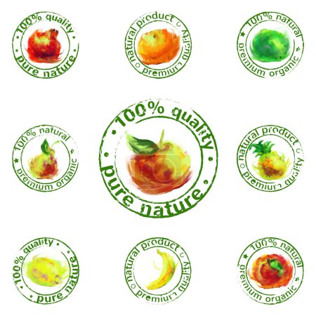 Ilustración de Vector pintado conjunto de iconos de frutas - etiquetas de productos orgánicos naturales - Imagen libre de derechos