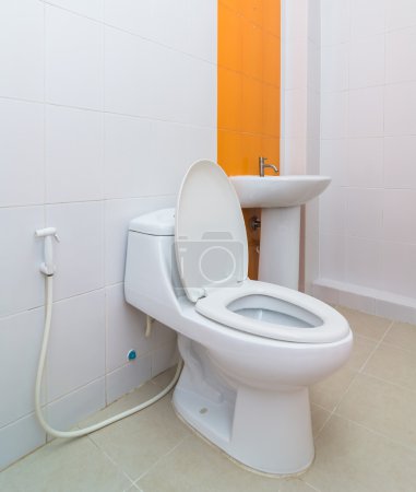 Baño interior de lujo

