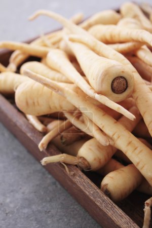 Photo for Young parsnips in wooden plate - Royalty Free Image