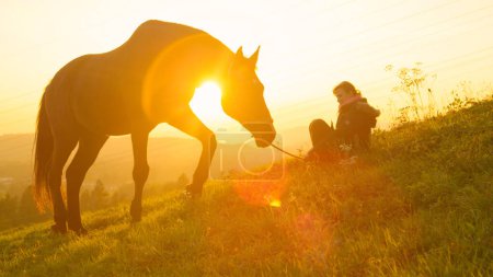 Photo for LENS FLARE, SILHOUETTE: Big stallion grazing at sunset while happy girl sits nearby in the grass. Young Caucasian woman sitting on the grassy hill while her adult horse pastures at golden sunrise. - Royalty Free Image