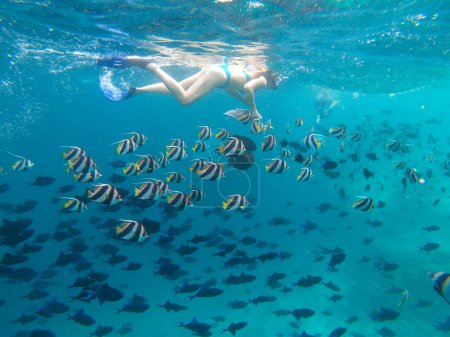 AGUA UNDERWATER: Mujer y hombre irreconocibles alimentan a peces tropicales mientras bucean