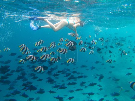 Photo for UNDERWATER: Unrecognizable woman and man feed tropical fish while snorkeling. Young tourist couple on fun vacation in the Maldives snorkel around the turquoise ocean and feed a shoal of beautiful fish - Royalty Free Image