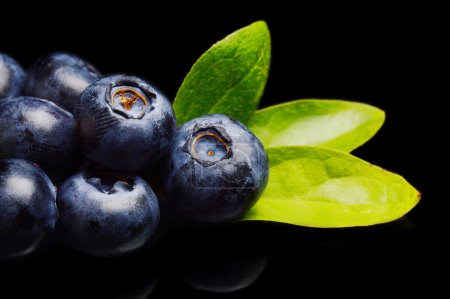 Téléchargez les photos : Plan studio de l'assortiment de bleuets frais macro gros plan avec des feuilles isolées sur un fond noir - en image libre de droit