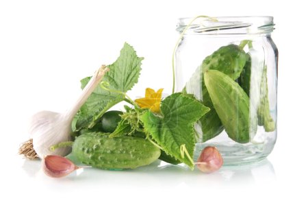 Photo for Ingredients for pickling or preserves cucumbers with flower bud,leaves,jar,garlic,dill flowers and tendrils isolated on white background - Royalty Free Image