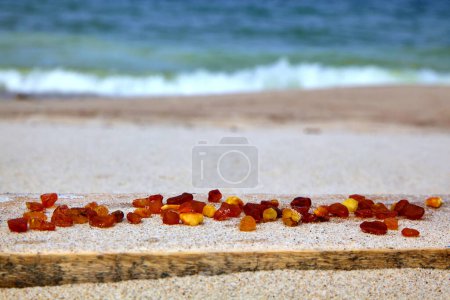 Photo for Pieces of raw amber are scattered on the sandy beach. A scattering of amber on the seashore - Royalty Free Image