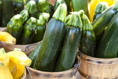 Foto de Fresco el calabacín de la granja en canastas de bushel marrón sentado en la mesa en el mercado de agricultores - Imagen libre de derechos