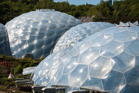 Biomas del Proyecto Edén

