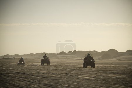 Photo for Tree quads exploring the beach in Buenos Aires. - Royalty Free Image