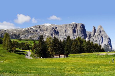 Photo for Italy, South Tyrol, Alpe di Suisi, Schlern mountain aka Sciliar - a Unesco World Heritage site - Royalty Free Image