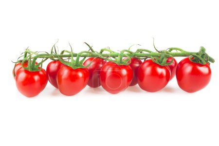 Photo for Closeup of red ripe tomatoes on the vine isolated on white background - Royalty Free Image