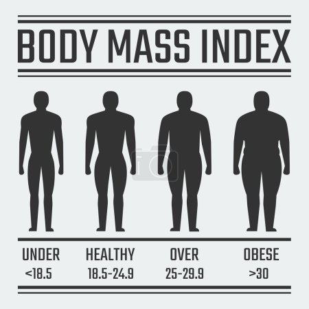 Illustration for Body Mass Index vector illustration - Royalty Free Image