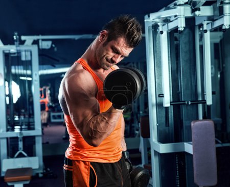Espalda muscular del entrenamiento de culturistas jóvenes en fondo oscuro
