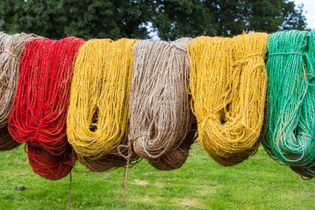 Photo for Colored carpet yarn drying at the Tapestry Museum in Genemuiden Holland - Royalty Free Image