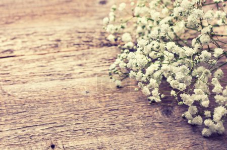 gypsophila sobre un fondo de madera
