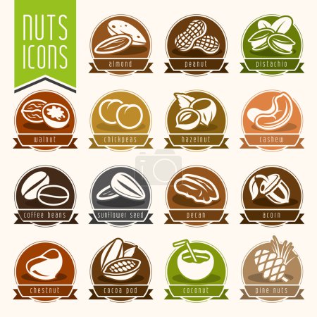 Nuts icon set