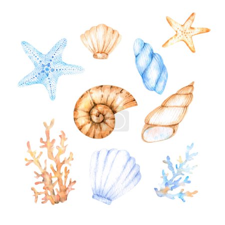 Lindos elementos de acuarela en un tema marino - diferentes conchas, estrellas de mar, corales de diferentes formas en beige y azul para el diseño, decoración, pegatinas, decoración y scrapbooking.