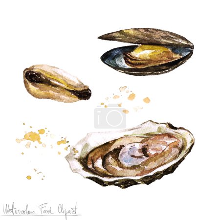 Clipart alimentaire aquarelle - huître et moule
