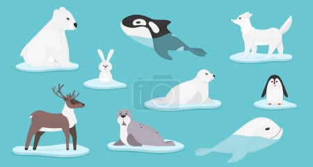 Navidad y Año Nuevo 2021 con animal polar Navidad y Año Nuevo 2021 con animal polar