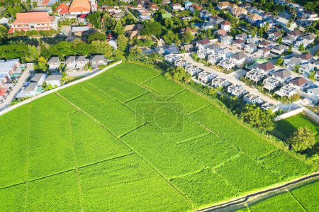 Terreno en vista aérea. Incluye paisaje, bienes raíces, campo verde, cultivo, planta agrícola. Tramo de terreno para la subdivisión de viviendas, desarrollo, propiedad, venta, alquiler, compra o inversión en Chiang Mai.