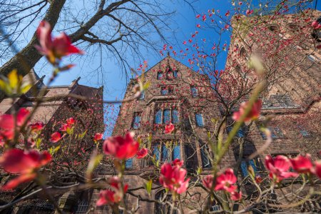 Yale-Universitätsgebäude 