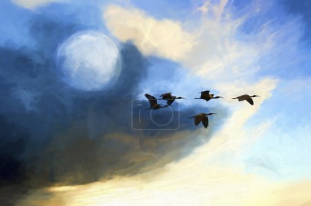 Aves Luna Volar
