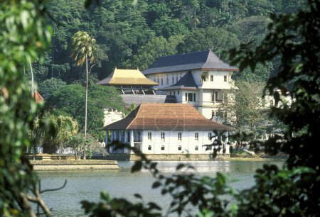 Photo for The Kandy lake in the town of Kandy of Sri Lanka in Asien. - Royalty Free Image