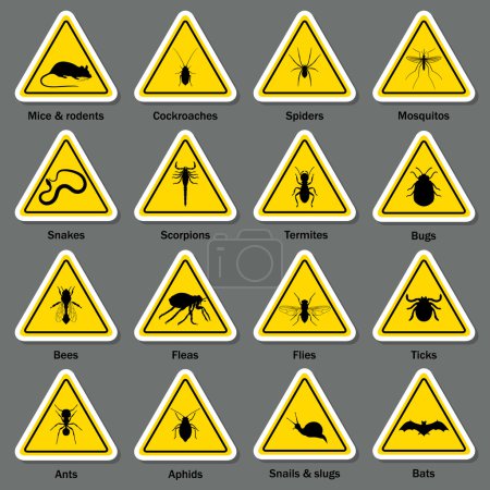 Conjunto de iconos de control de plagas e insectos
.