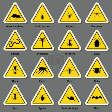 Illustration for Pest and insect control icons set. Vector EPS10 illustration. - Royalty Free Image