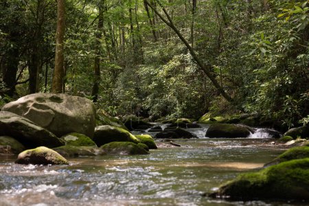 Téléchargez les photos : Prong ouest de la rivière LIttle coule à travers les rochers du parc national des Grands Smoky Mountains - en image libre de droit