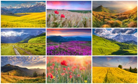 9 paisajes de verano colorido