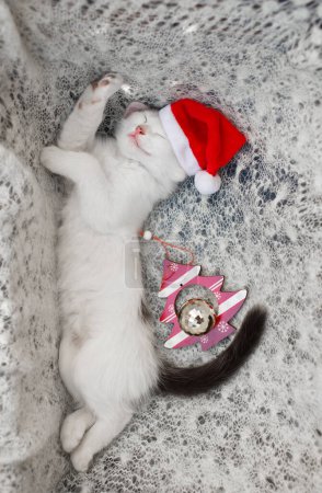 pequeño gatito blanco duerme dulcemente acostado en su lado en una bufanda de punto suave luz en un sombrero de Santa. El ambiente de las vacaciones acogedoras de Navidad. La vida de una mascota amada. Ayudante de Santa