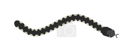 Illustration for Vector flat snake isolated on white background. Vector snake flat style. Flat snake skin pattern. Poisonous snake vector icon - Royalty Free Image