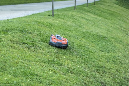 Automatic lawn mower robot mowing grass in garden, front view, selective focus