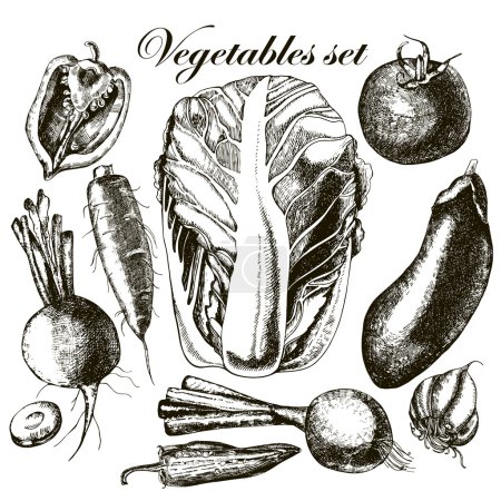 Handmade work - set vegetables. Vector.