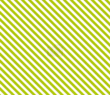 Fondo con stipes - blanco verde
