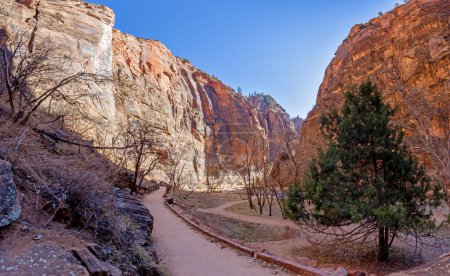 Impresión de la ruta de senderismo a Pine Creek Canyon con vistas en el parque nacional de Zion en invierno