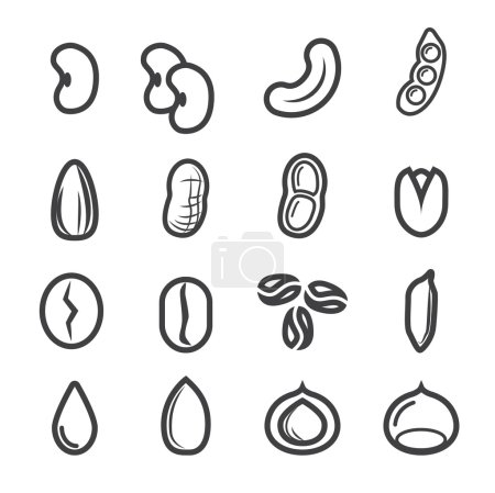  nut and seed icon.line vector.