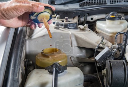 Photo for Check power steering oil,Car maintenance,Check  car yourself,Check power steering oil self. - Royalty Free Image