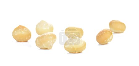 Photo for Macadamia isolated on white background.Focus macadamia front. - Royalty Free Image