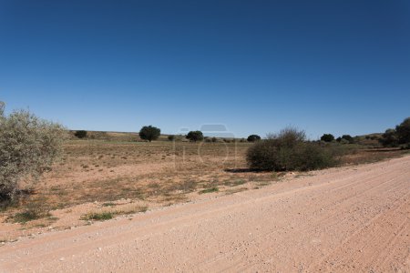 Foto de Una vista desde el Parque Kgalagadi Transfontier, Sudáfrica - Imagen libre de derechos